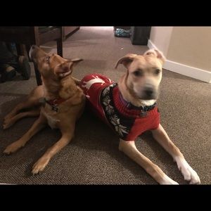 Meet your Posher, Tessa